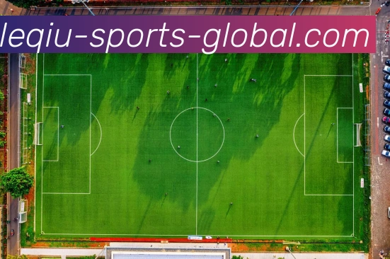 乐球体育平台生态图